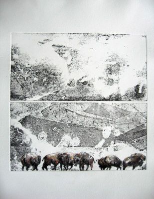 Büffel  Ätzradierung (Vernis Mou) und Zeichnung 30x30
