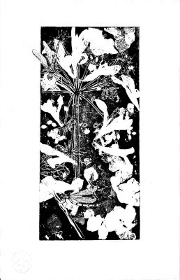 Biotop IX 26x40 Ätzradierung (Vernis Mou) und Zeichnung
