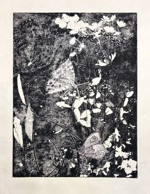 Biotop VII 30x40 Ätzradierung (Vernis Mou) und Zeichnung
