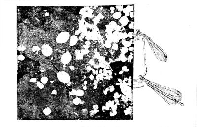 Biotop X 48x32 Ätzradierung (Vernis Mou) und Zeichnung
