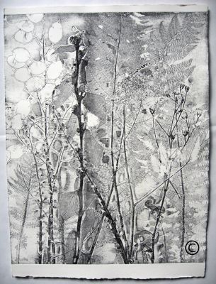 Herbstwiese I Ätzradierung (Vernis Mou) 40x50
